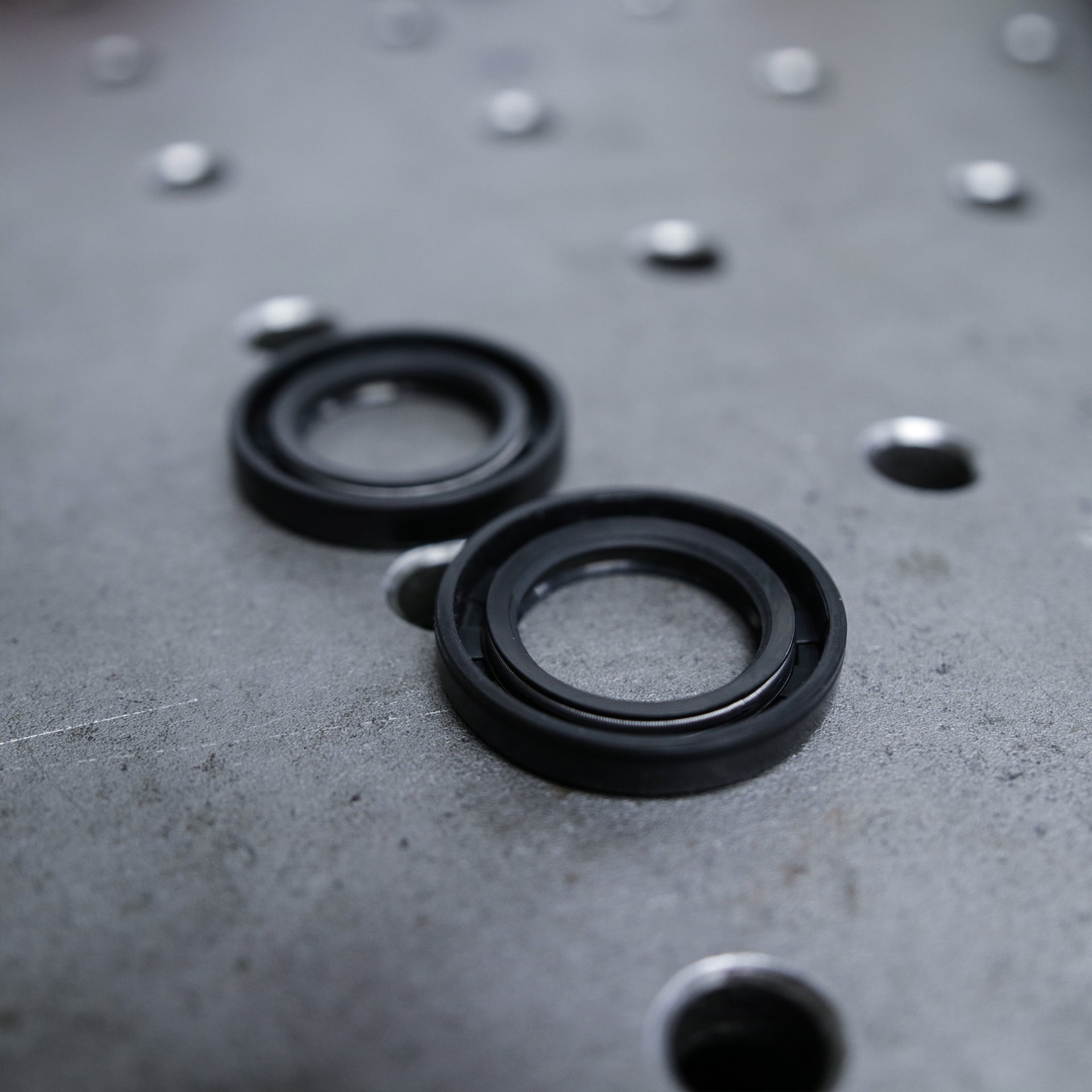 Hinge Dust Seal Replacement