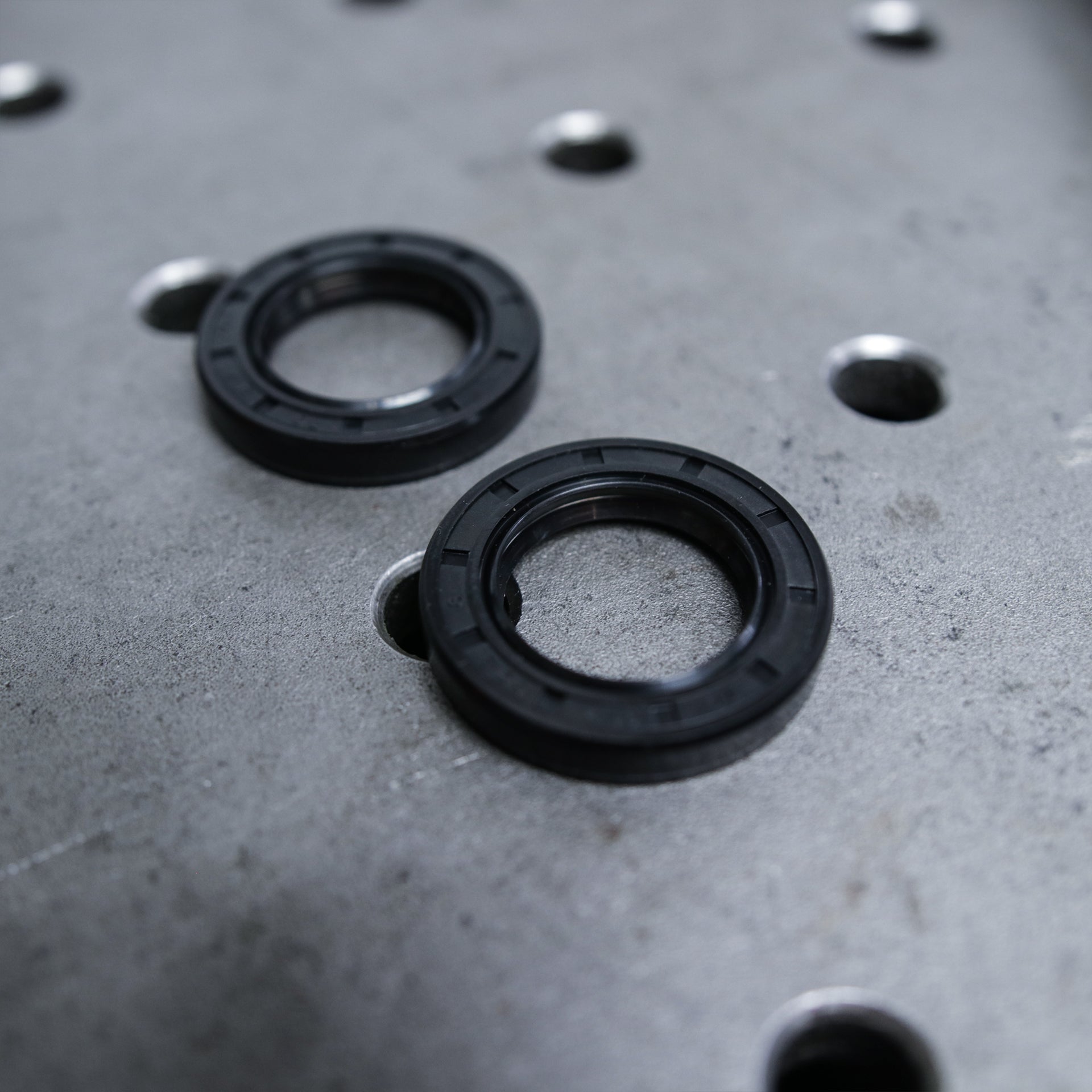 Hinge Dust Seal Replacement